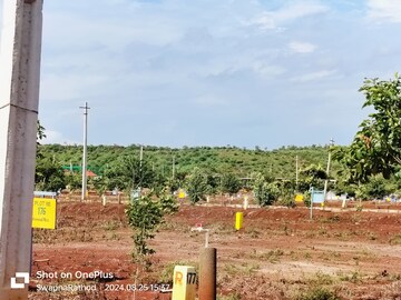 Plot For Resale in Budhera Hyderabad  7616103