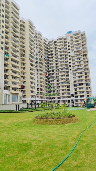 3 BHK Apartment For Resale in Alpine AIGIN Royal Phase 2 Noida Ext Sector 1 Greater Noida  7616373