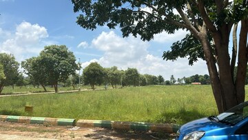 Plot For Resale in Binnamangala Bangalore  7617677