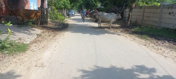  Plot – Exterior View View at Gomti Nagar - for Sale