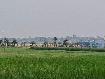 Plot Area in  Plot at Sector 16 – for Sale
