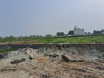 Plot Area in  Plot at Sector 16 – for Sale