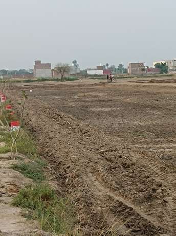 Plot For Resale in Silani Chowk Gurgaon  7618385