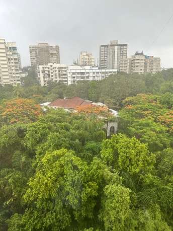 रेसिडेंशियल फ्लैट वर्ग फुट फॉर रेंट इन चेंबुर मुंबई  7618618