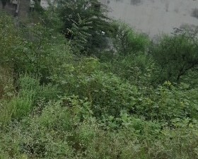 Plot For Sale in Jagatpura