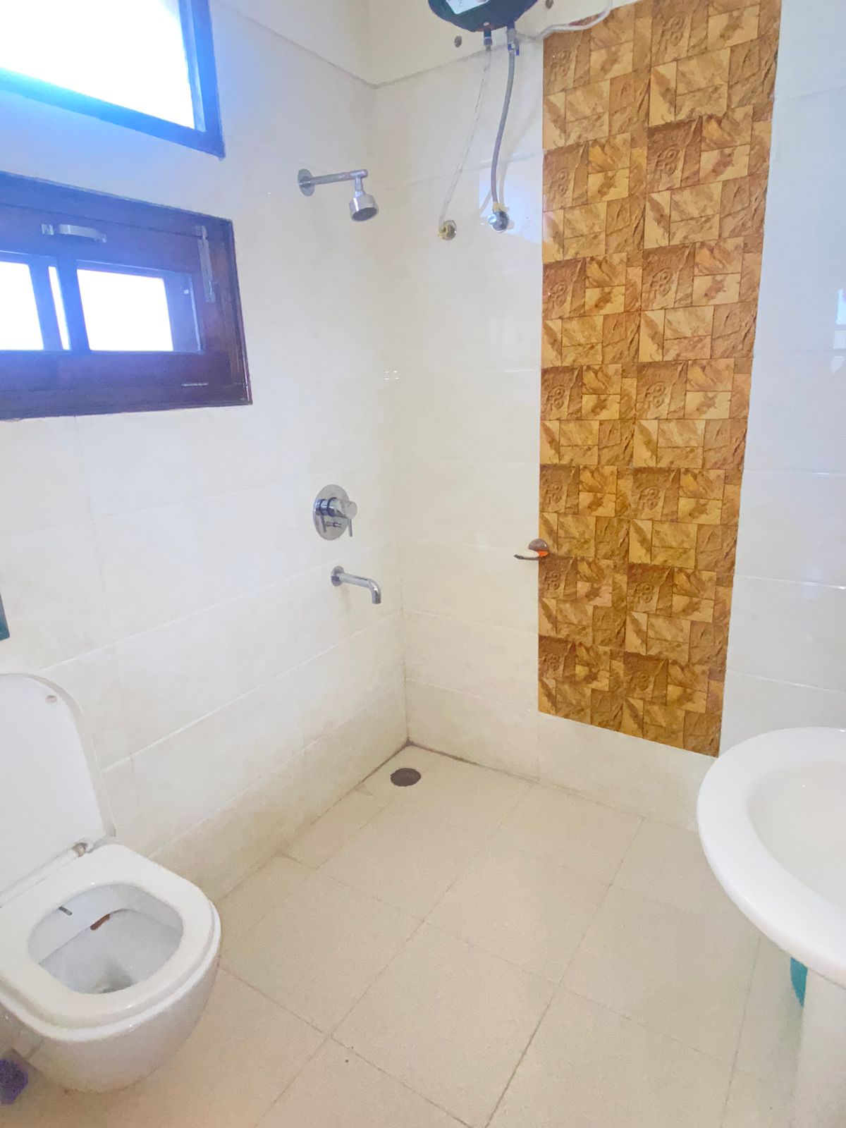 Rental 1 RK 1450 Sq.Ft. Builder Floor in Sector 49 Chandigarh 7619202