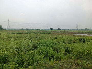 Plot Area in  Land at Katol rd – for Sale