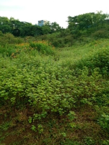  Plot For Sale in Lohgaon