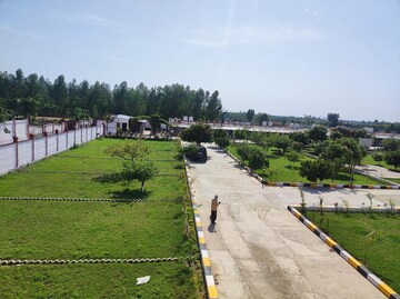 Plot Area in  Plot at Saharanpur Road – for Sale