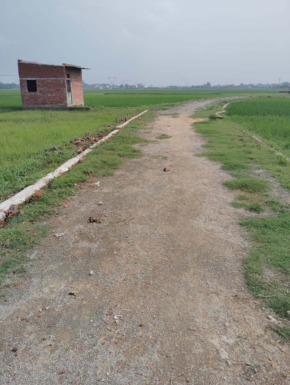 Resale 2000 Sq.Ft. Plot in Kolar Road Bhopal 7620107