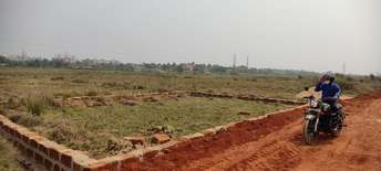 Plot For Resale in Ogalapada Bhubaneswar  7620378