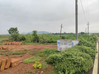 Plot For Resale in Arugul Bhubaneswar  7620578