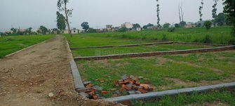 Plot For Resale in Aam Bag Rishikesh  7620657