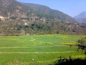 Plot For Resale in Aam Bag Rishikesh  7620657