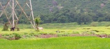  Plot – Garden View at Igatpuri - for Sale