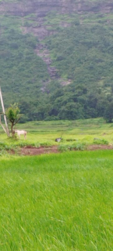  Plot – Garden View at Igatpuri - for Sale