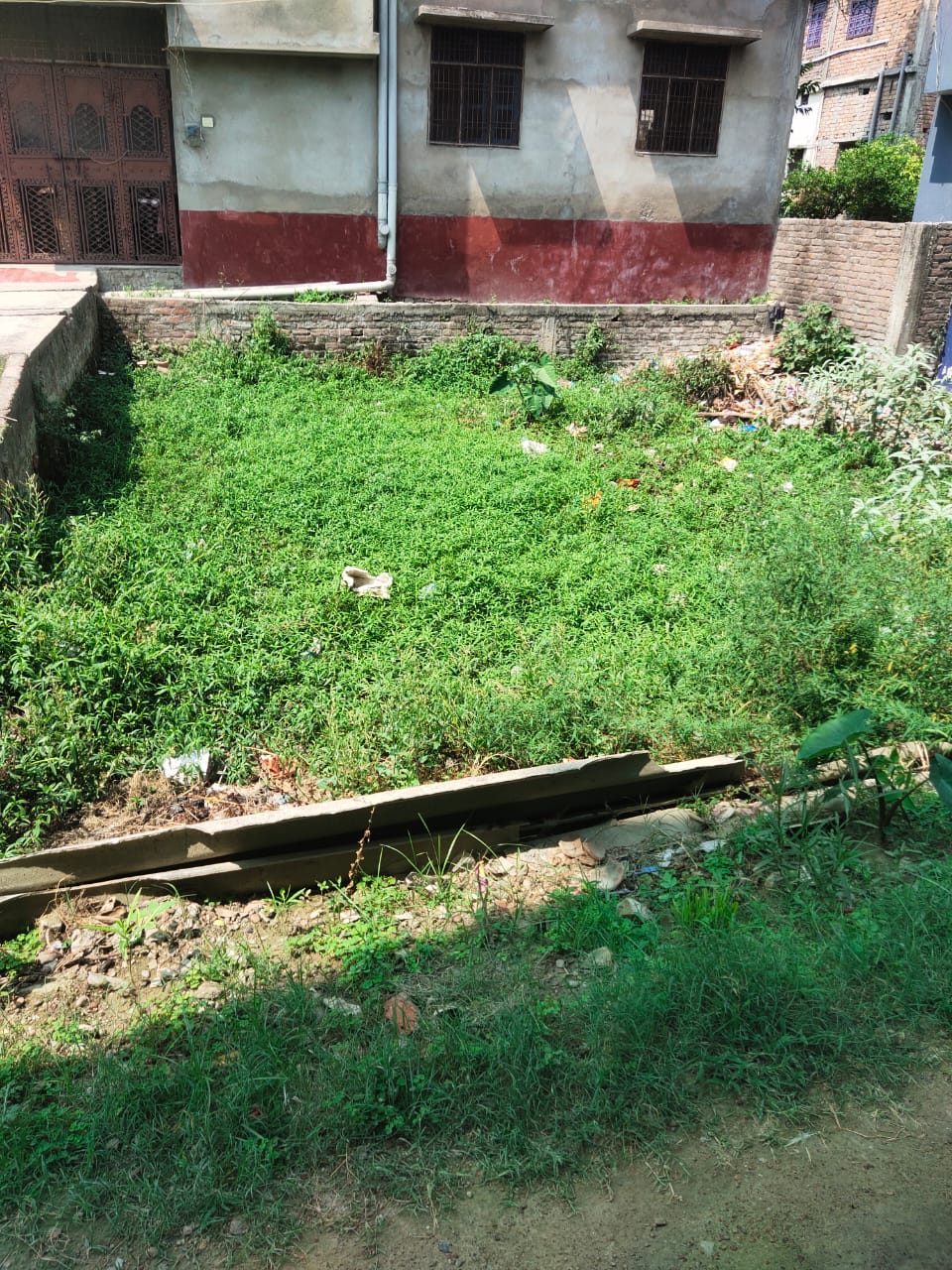 Plot For Resale in Sarojini Nagar Lucknow  7620992