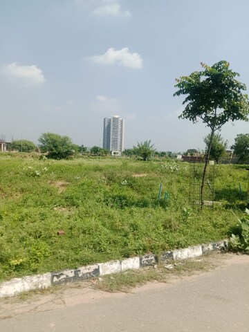Plot Area in  Plot at GMADA Eco City, North Mullanpur – for Sale