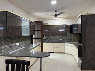 4 BHK Apartment For Rent in Sector 6 Gurgaon  7621824