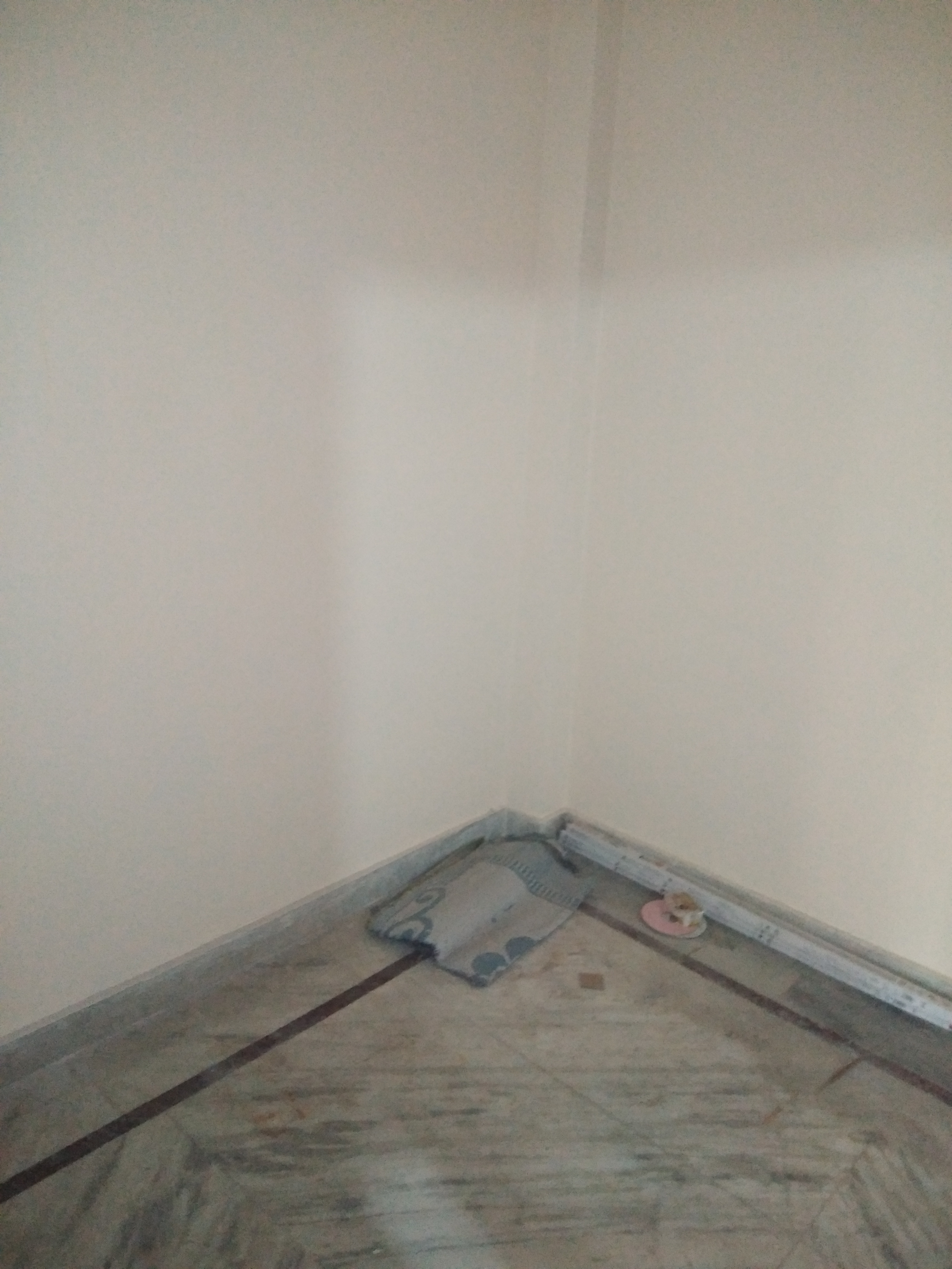 Rental 3 Bedroom 750 Sq.Ft. Builder Floor in Rohini Sector 6 Delhi 7621874