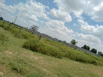 Plot For Resale in Mangalpalle Hyderabad  7622057