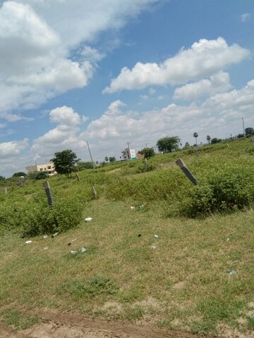 Plot Area in  Plot at Mangalpalle – for Sale