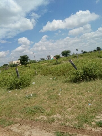 Plot Area in  Plot at Mangalpalle – for Sale