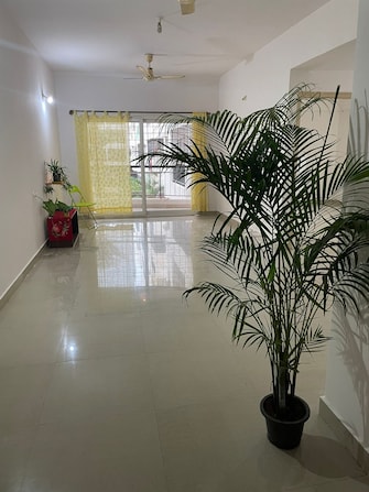 2 BHK Apartment For Rent in Shravanthi Paramount Hulimavu Bangalore  7622160