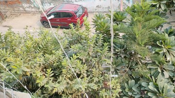  Plot – Exterior View View at Sector 49 - for Sale