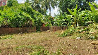 Plot For Resale in Jagatdal Kolkata  7622695