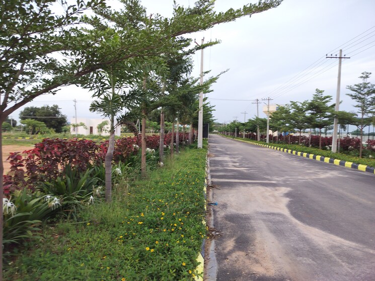 Garden, shadnagar  165 Sq.Yd. Plot In Shadnagar Hyderabad 7623697