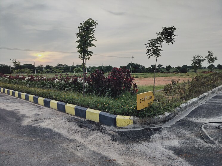 undefined, shadnagar  165 Sq.Yd. Plot In Shadnagar Hyderabad 7623697