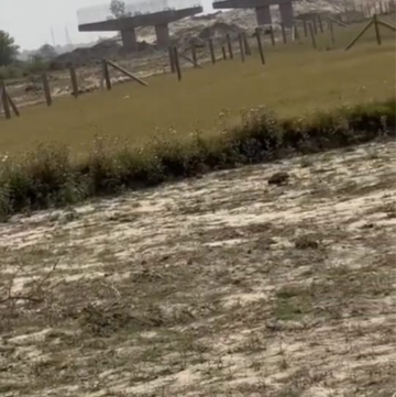 Plot Area in  Plot at Recreational Green 1 To 5 Greater Noida – for Sale