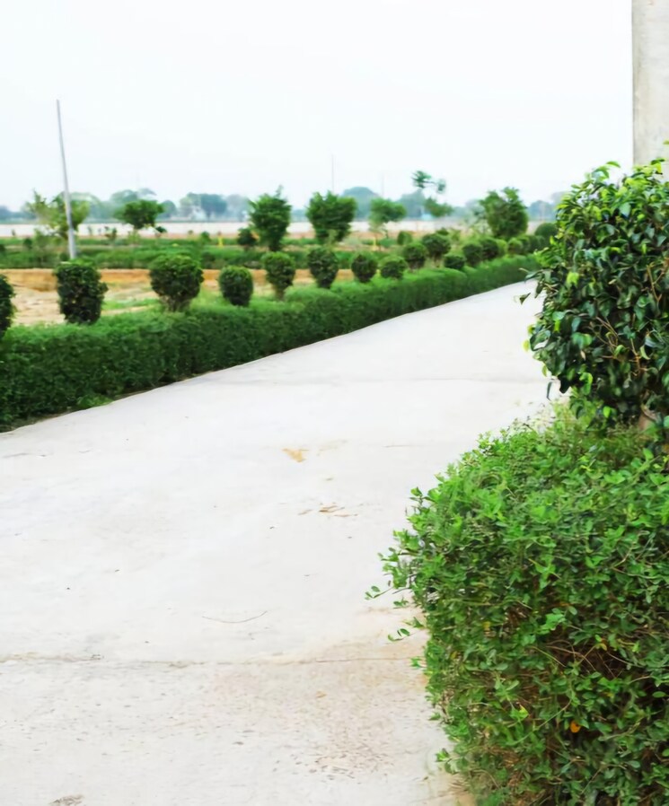 Garden, tappal  100 Sq.Yd. Plot In Tappal Aligarh 7624580