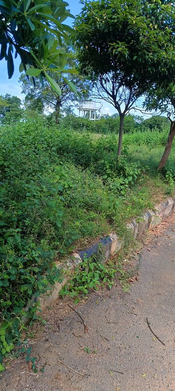 Plot Area in  Plot at Kongara Kalan – for Sale