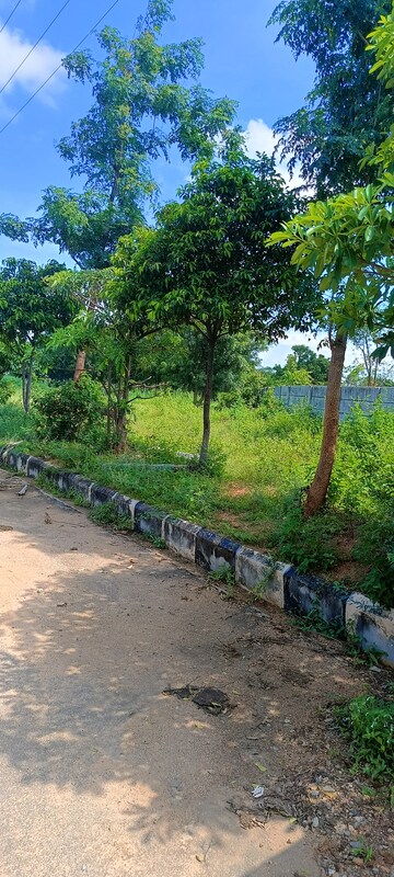  Plot – Garden View at Kongara Kalan - for Sale