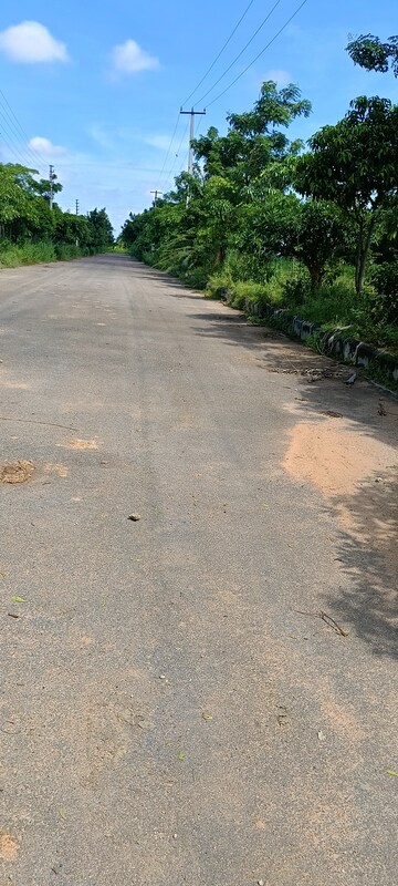 Plot Area in  Plot at Kongara Kalan – for Sale