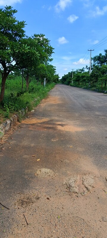 Plot Area in  Plot at Kongara Kalan – for Sale