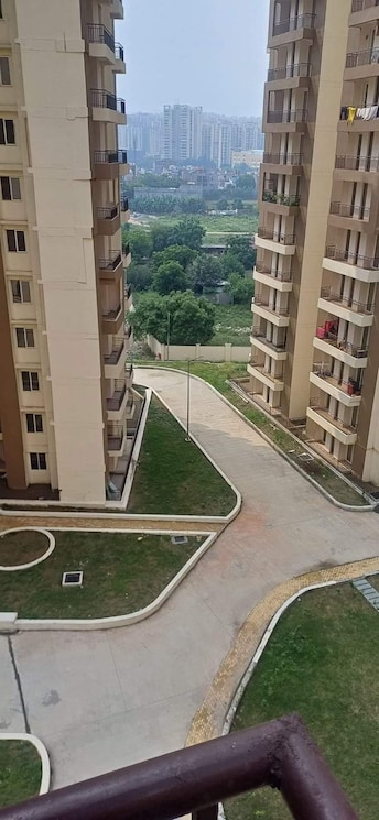 3 BHK Apartment For Resale in Amrapali Golf Homes Sector 4, Greater Noida Greater Noida  7627275