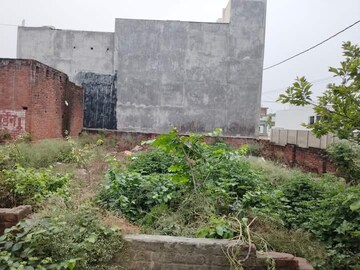  Plot For Sale in Chinhat