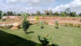 Plot For Resale in Sampangi Rama Nagar Bangalore  7628596