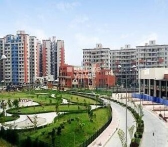 4 BHK Apartment For Rent in AWHO Township Awho Greater Noida  7629101