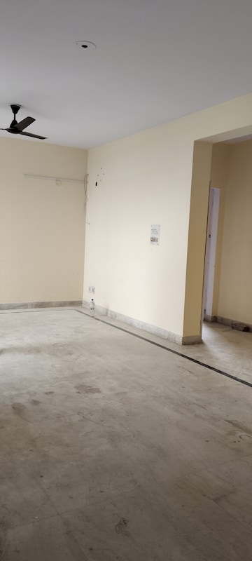 3 BHK Apartment For Rent in Neha Apartments Pi I and II Pi I And ii Greater Noida  7629715