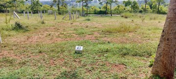 Plot For Resale in Ramasandra Bangalore  7629771