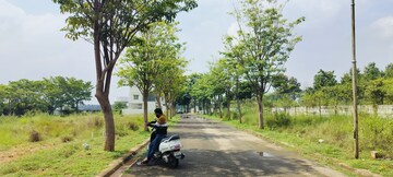 Plot Area in  Plot at Ramasandra – for Sale