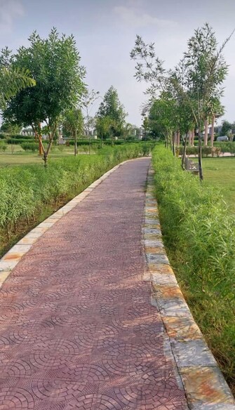 Plot For Resale in Burmese Colony Jaipur  7629997