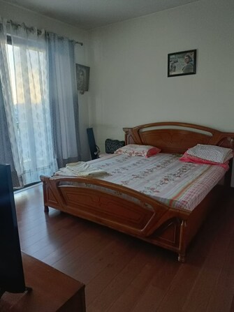 1 BHK Apartment For Rent in Pivotal Paradise Sector 62 Gurgaon  7630717