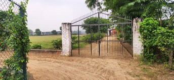 Plot For Resale in Sukhrali Gurgaon  7630826