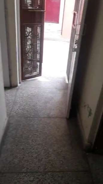 2.5 BHK Apartment For Rent in Mayur Vihar Delhi  7631083