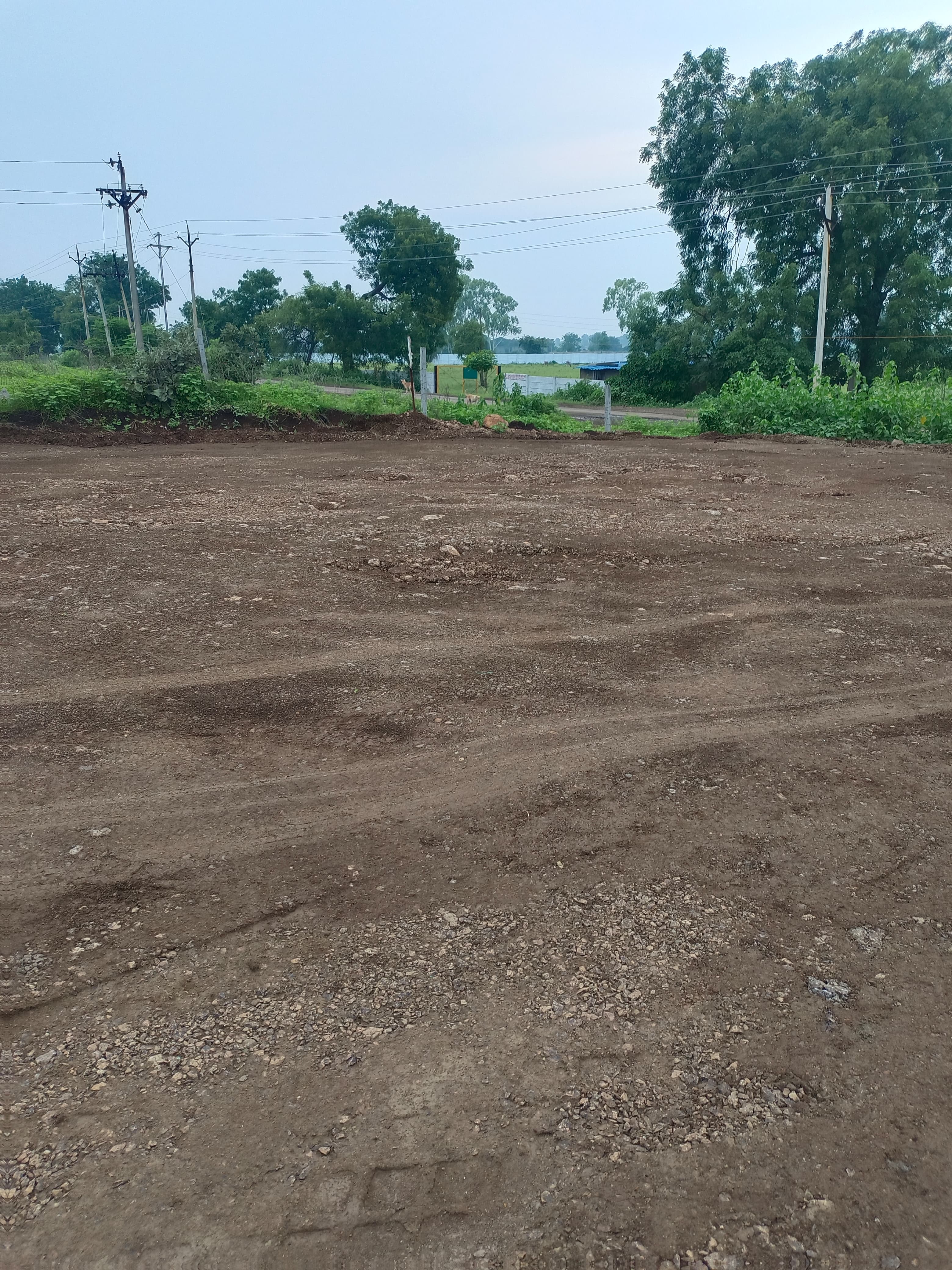 Commercial Industrial Plot 100000 Sq.Ft. For Resale in Rajdhara Indore  7626917